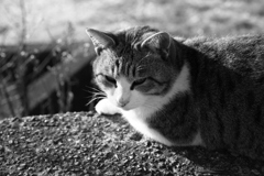 2018写し納　よいお年を！