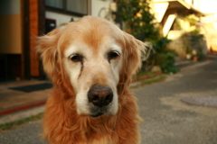 日曜＠2019‐10‐13