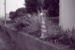 朝＠2020‐08‐03