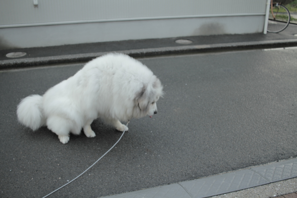 避難勧告くらいじゃだれも避難してない