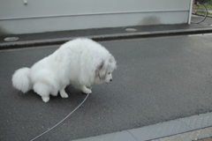 避難勧告くらいじゃだれも避難してない