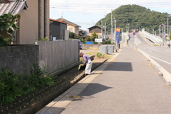 APS-Cに50mmは画角が不自然だな!(^^)!