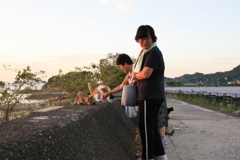 おばちゃんずと猫