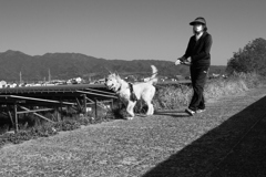 お母さんと散歩してるダイちゃん