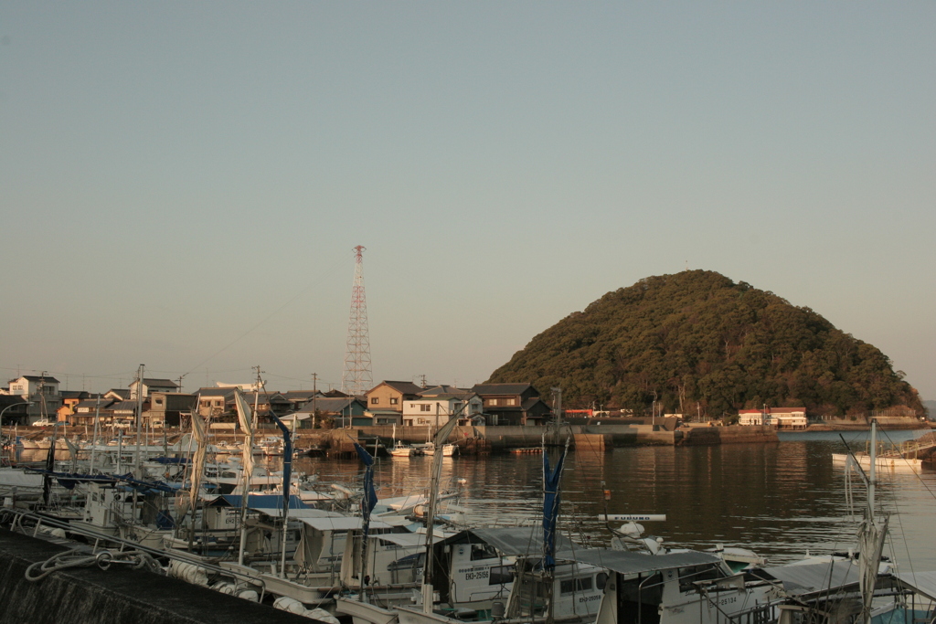 朝、今日もいつも通り
