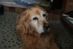 みゅうちゃんの復活ぶりにはほんまびっくりだよな