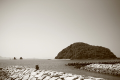 センサー傷入りだけど