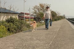 散歩中のマイルとお母さん