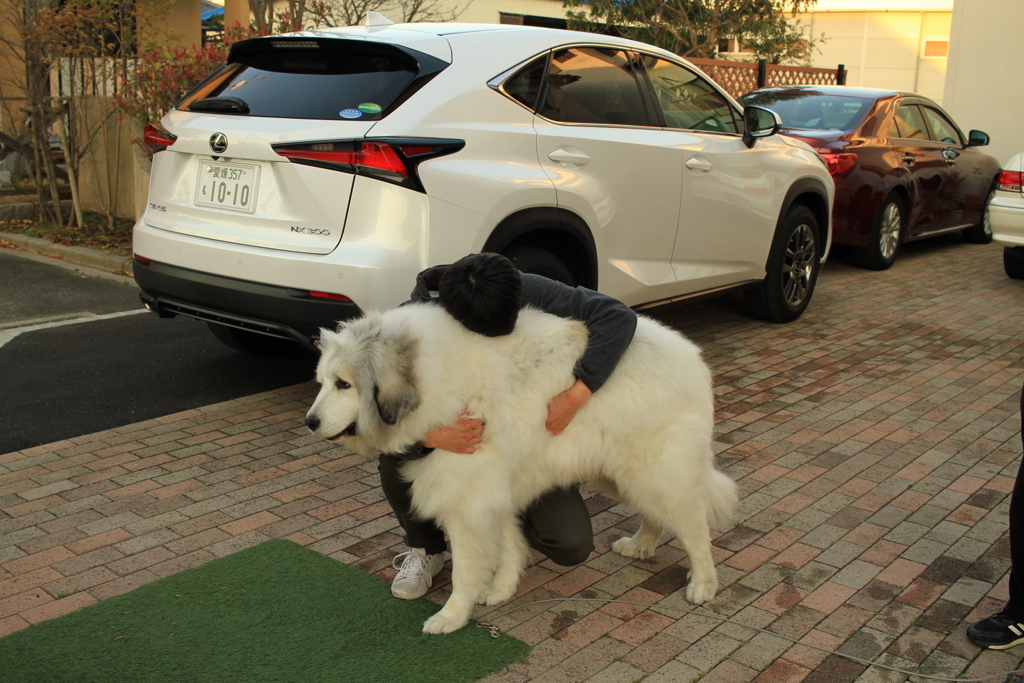 お兄さんが帰ってきて甘えるココさん