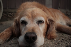 みゅうちゃん＠北条水軍ユースホステル
