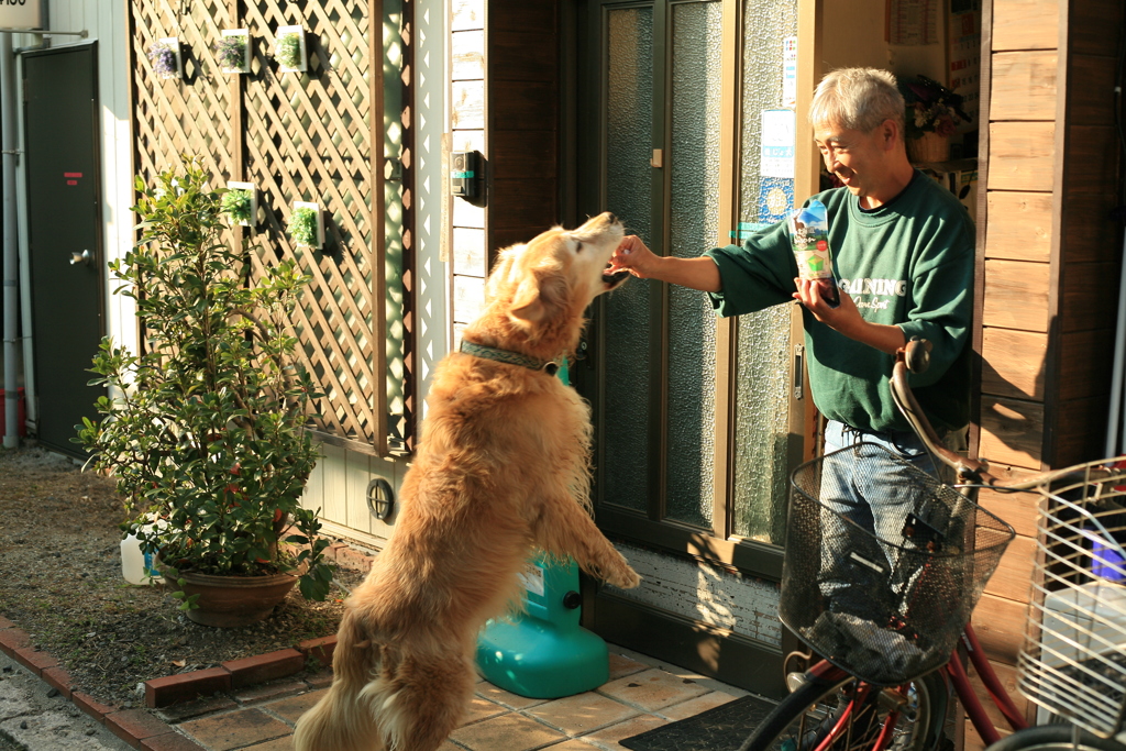 エゾシカ肉に食いつくみゅうちゃん