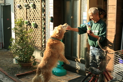 エゾシカ肉に食いつくみゅうちゃん