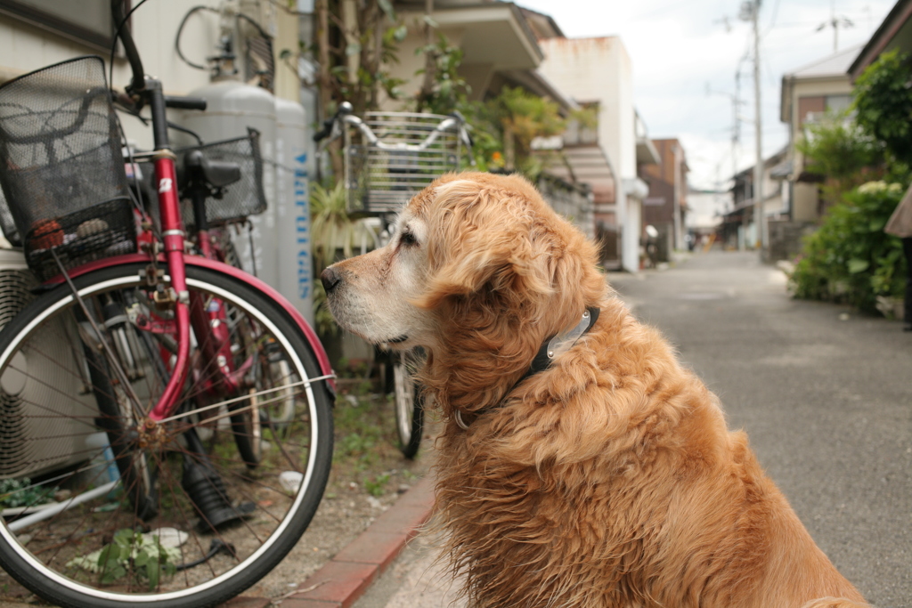 みゅうちゃん＠北条水軍ユースホステル