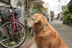 みゅうちゃん＠北条水軍ユースホステル