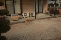 ＠2021‐02‐23