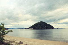 トンボも飛び始めた