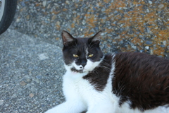 ハナクソついてる