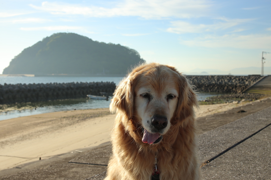 暑くて3分で家に帰ったみゅうちゃん
