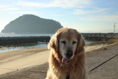 暑くて3分で家に帰ったみゅうちゃん