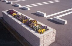 NewCanonet28,真の実力を発揮!(^^)!