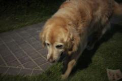 みゅうちゃん＠北条水軍ユースホステル