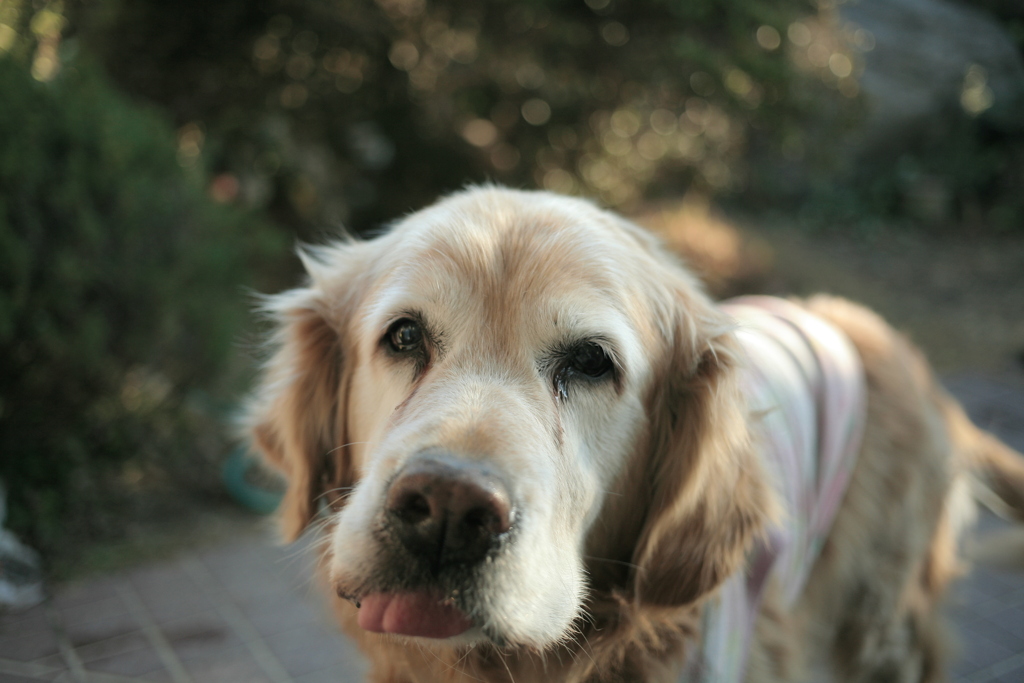 みゅうちゃんは今日も元気