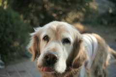 みゅうちゃんは今日も元気