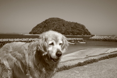 朝、みゅうちゃんと散歩