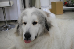 @2018-02-09 けっこうあったかい