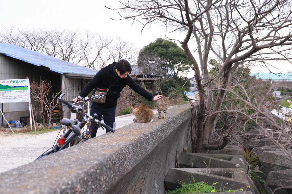 お兄さんによしよししてもらうマーちゃんとトム君
