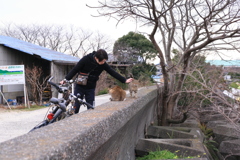 お兄さんによしよししてもらうマーちゃんとトム君