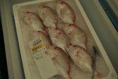 死んだ鯛
