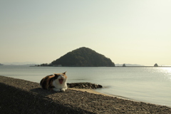 ＠2021‐03‐08