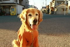 みゅうちゃん＠伊予北条駅