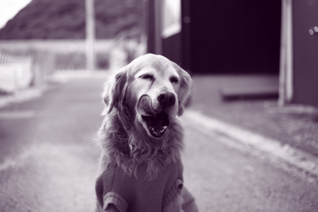 雨だから焼き直し　調色紫