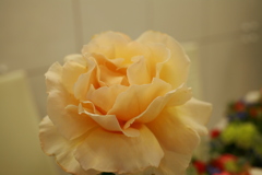 ココさんところの花