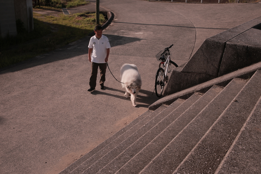 お父さんと散歩のココさん