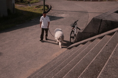 お父さんと散歩のココさん