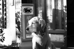 モノクロ＠2019-01-22