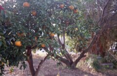 昨日　フィルムにて