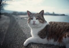 Trip35にて