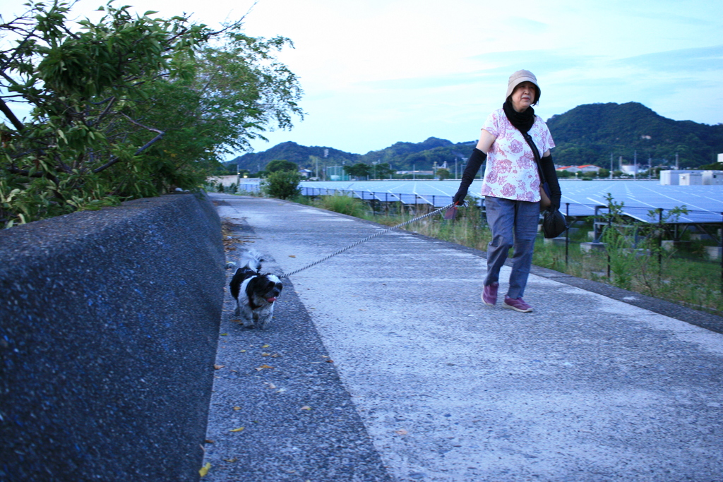 マックが散歩してる