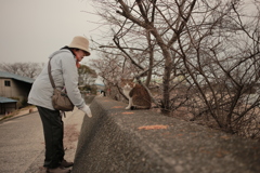 トム君と横山さん