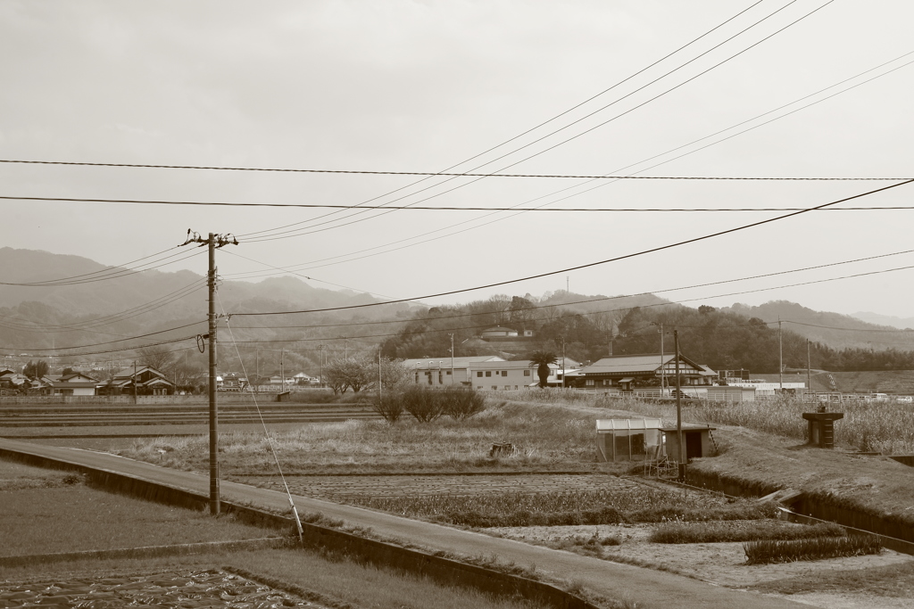 今日も暇だ～～