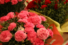 世間的に母の日だそうで