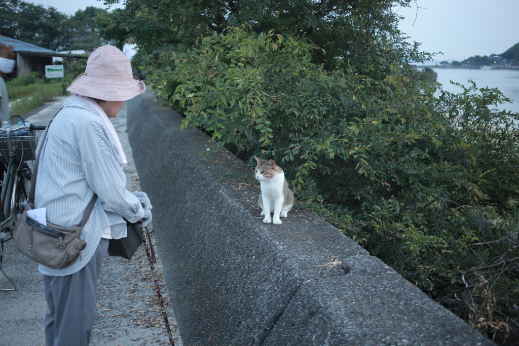 横山さんと話してるトム君