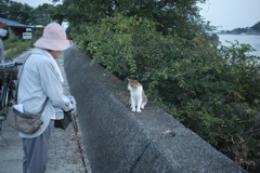 横山さんと話してるトム君
