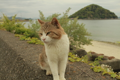 ＠2021‐04‐27