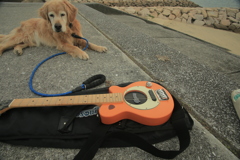 気分は西海岸！！