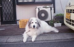 NewCanonet28,真の実力を発揮!(^^)!